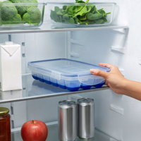 Bac à glaçons en plastique avec couvercle, moule à glace en silicone sans BPA, réutilisable, pour la maison, la cuisine, le bar, les boissons