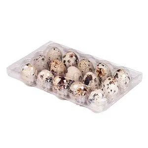15 Holes Hinged Clamshell Disposable Clear Blister Plastic Quail Eggs Cartons Packaging Egg Trays Manufacturer