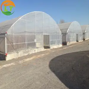 Hot-dipped Galvanized Frame And Plastic Film Agricultural Greenhouse For Sale