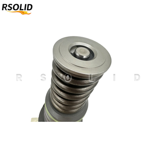 Bomba de Combustible Delphi Rsoliddiesel 2102391PRX BEBU5A00000 para Camiones Pesados DAF XF105 MX-13, Piezas del Motor, Componentes del Sistema de Combustible - Product Image 6
