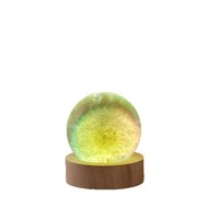 Lampe de nuit créative en résine, pissenlit illuminé blanc chaud, boule de cristal minimaliste moderne, fleur éternelle, ornement de bureau