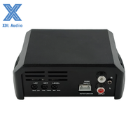 Mini amplificateur de classe D 400W*1CH avec crossovers et égaliseurs, système audio de voiture de style brésilien en fonte, mono