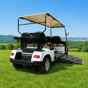 Carrito de <span class=keywords><strong>Golf</strong></span> con silla de ruedas para discapacitados, vehículo eléctrico para discapacitados - Product Image 2