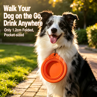 Bol pliable en silicone portable et bouteille d'eau de voyage pour chats et chiens - Utilisation extérieure pliable