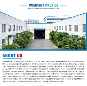 Punchable Anti ot/çim kontrolü 15 25 30 35 mikron malç kağıdı çilek, sebze bahçesi için siyah plastik malç filmi - Product Image 6