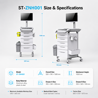 Chariot médical informatique ST ZNH001 avec grand plateau de travail, bacs à accessoires latéraux et tiroirs – Vente directe usine