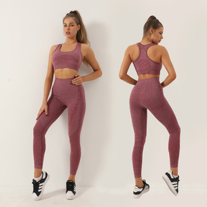Femmes européennes américaines printemps été Fitness deux pièces <span class=keywords><strong>ensemble</strong></span> respirant sans couture tricoté soutien-gorge gilet pantalons longs hanche ascenseur Yoga - Product Image 4
