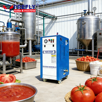 Chaudière à vapeur pour ligne de production de sauce tomate, générateur de vapeur électrique commercial pour la pasteurisation continue des aliments
