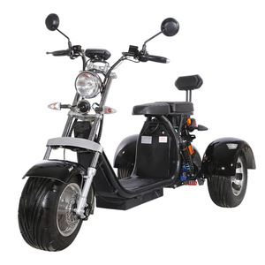 Electric Tricycle 1500W <b>2</b> Seats Open Body <b>Passenger</b> Electric Mobility Vehicle - Product Image 1