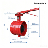 Vanne papillon rainurée pour système d'incendie à jet d'eau JIS 10K ANSI 150 #   BS pour OEM homologué FM, usage intensif