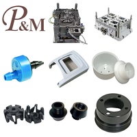P&M Desarrollo de Moldes de Inyección para Procesamiento de Piezas de Plástico, Piezas de Nylon, PPABS, Moldeo por Inyección de Plástico