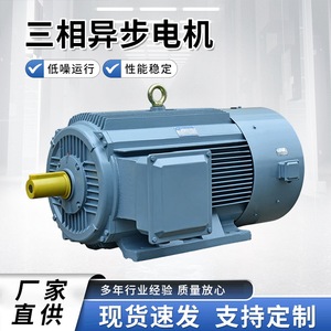 Moteur asynchrone triphasé YE3 5,5KW-4 pôles 132S-4 à fréquence variable pour équipement mécanique - Product Image 5