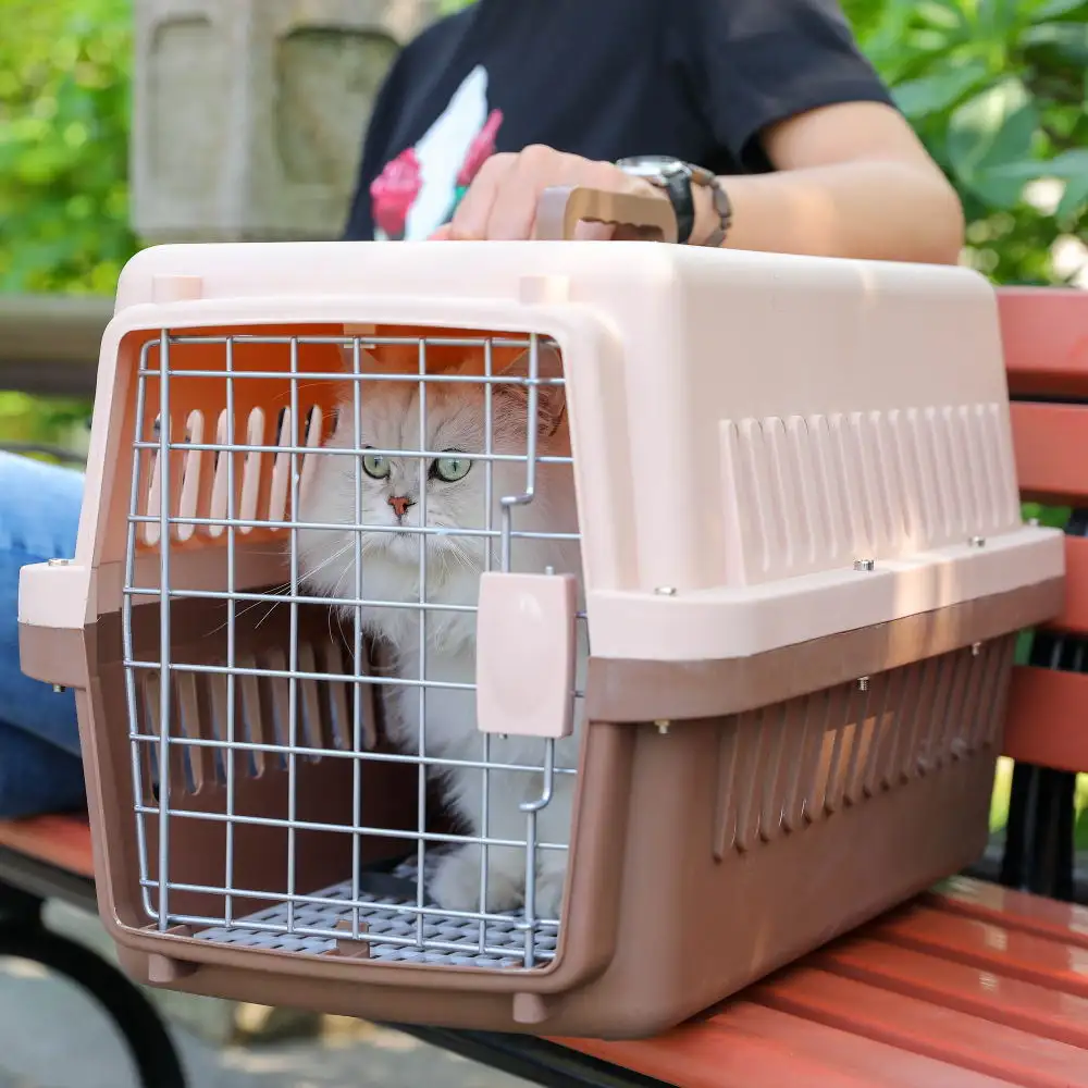 हॉट सेल कुत्ते परिवहन बॉक्स एयरलाइन ने पालतू बिल्ली वाहक बैग प्लास्टिक हाउस पालतू पिंजरे