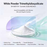 Trimethylsiloxysilicate SH-5031 P-R, Film Permeabel, Peningkat SPF, Mudah Diformulasikan, Bubuk Resin Silikon Kosmetik
