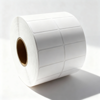 Etiquetas Adhesivas de Papel Cobre Removibles Zexu Easy Peel (Modelo N-BT3) para Impresoras Zebra, Marcado de Carpetas de Archivo de Oficina, Formato Irregular