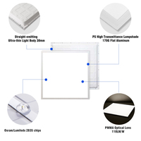 Panneau de Plafond LED d'Intérieur 40W 80W 2x2 60x60 600x600 595x595 3000k 4000k 6000K 6500K Panneau Plat pour Bureau
