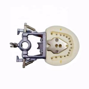 Modello Standard dei denti pratica lo studente dentale in resina acrilica modello 32 denti tipodoni dentali con articolatore DP - Product Image 5