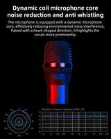 Système de micro sans fil professionnel 4-en-1 D100+ N24, microphone rechargeable 2,4G pour spectacles sur scène et karaoké à domicile