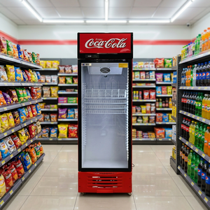 Refrigerador Vertical Comercial YINZHENG para Exhibición de Bebidas, con Puerta de Vidrio, Sin Escarcha, Estantes Ajustables - Product Image 5