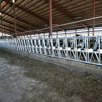 Barrières robustes pour vaches laitières avec fonction de déverrouillage individuel