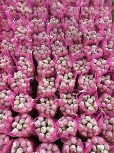 Nueva cosecha de ajo blanco puro fresco y ajo blanco normal, precio de ajo al por mayor más bajo, Alho Ail Ajo - Product Image 3