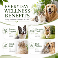 Poudre Multivitaminée pour Animaux de Compagnie 100M UFC Probiotiques pour la Santé Digestive, la Peau, le Pelage, l'Énergie et la Vitalité – Complément Alimentaire en Pot de 200g