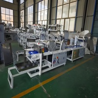 Machine automatique à moteur pour la fabrication de nouilles aux céréales mélangées et de nouilles instantanées, capacité de séchage 20 kg/h