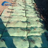 Sac géotextile robuste stabilisé aux UV pour les travaux de défense contre les inondations des bords de rivière