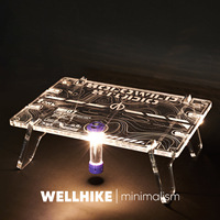Table pliante WELLHIKE Outdoor SWS Xuanqi Mini 1 unité IGT - Tablette en acrylique pliable pour le camping en plein air, table basse