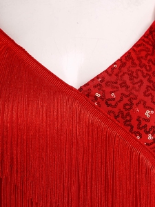 Costumes de danse lyrique pour femmes, combinaison à franges pour danse latine et tango, pantalon long, body, unitard, cha-cha, salsa, compétitions de danse de salon - Product Image 4