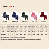Ensemble de vêtements de sport 2 pièces uni personnalisé pour adolescentes, tenue unie pour enfants, ensemble de survêtement en velours, ensembles de vêtements d'hiver pour filles