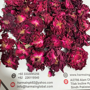 100% Roses rouges séchées biologiques naturelles bourgeons de fleurs à base de plantes de haute qualité fleurs séchées comestibles-fleurs séchées - Product Image 4