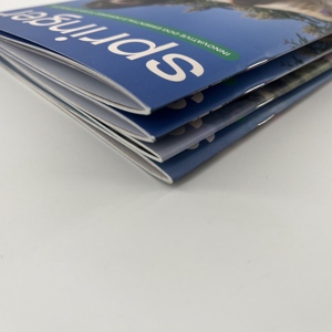 Oferta Especial: Impresión de Catálogos, Folletos y Revistas A4, A5, A6, B6 con Encuadernación Cosida y Laminación en Film, Precio Directo de Fábrica - Product Image 4