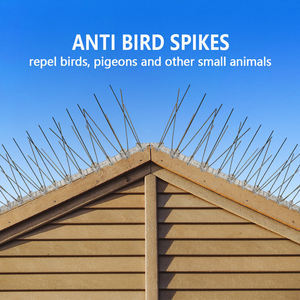 Base en plastique de 25cm 50cm, pointe d'oiseau en acier inoxydable - Product Image 4