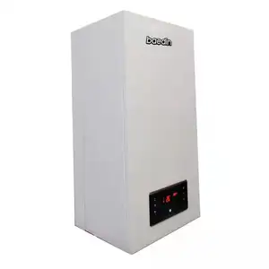 Ce Wall Hung Gas Boiler hot water gas Boiler Tankless Water Heater Gas Water Heater