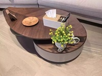 Table basse de rangement design, forme spéciale, écologique, luxe léger, moderne, en forme de feuille, placage noyer, garantie 1 an, pour salon
