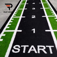 Gazon artificiel pour entraînement fonctionnel, fabriqué sur mesure par Pilot Sports Factory OEM, pour piste de luge de gym, motifs personnalisés, fitness en intérieur.