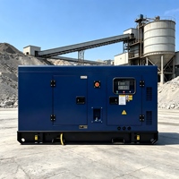 Groupe électrogène diesel silencieux Weichai 250 kW 312 kVA avec capot insonorisé triphasé refroidi par eau