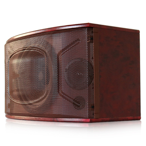 Hot bán 150W 10 inch KTV hệ thống âm thanh nhà Máy Giá sân khấu thụ động loa Loa - Product Image 5