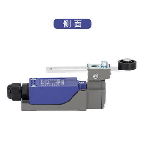 Interrupteur à bascule à rouleaux CNTD/Changde Electric CZ-8108N, type à bras oscillant, à réinitialisation automatique - Product Image 2