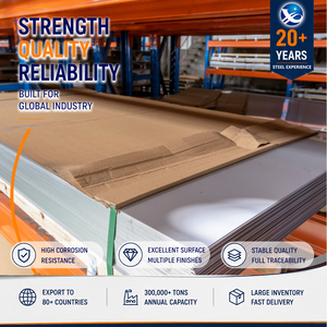 316L 2205 Brushed Finish 0.3mm x 1000mm EN 10088 Stainless Steel Sheet with High Corrosion Resistance - Product Image 1