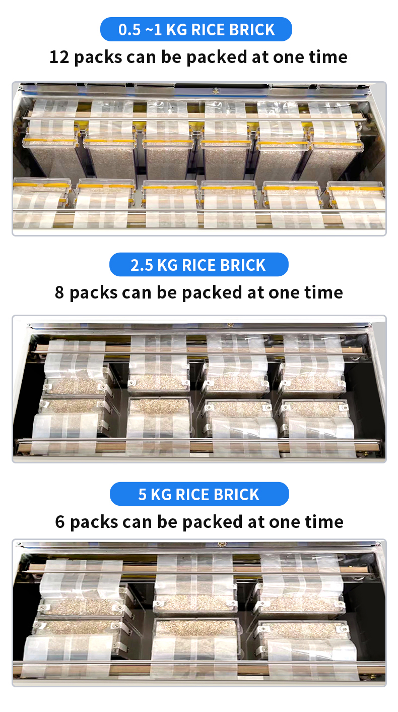 DZ-880/PD semi auto desktop vacuum sealer mini vacuum packaging machine for food rice meat fish