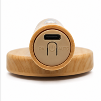 Wood Grain USB Rechargeable Motion Sensor Wall Night Light Magnetic Base Detachable LED Lamp Bear Animal Design Color-Changing