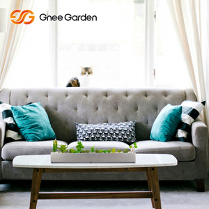 Jardinières surélevées en plastique ABS galvanisé écologique - Durables pour la plantation intérieure et l'aménagement paysager domestique - Product Image 1