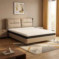 Queen-Size 12-Zoll Gel-Memory-Foam-Matratze - Langlebiger Stoffbezug Mittelfest Kühlend Druckentlastend Leicht Austauschbar