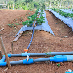 Tubo per irrigazione a goccia a emissione piatta per fattoria con spessore della parete di 0,3 mm - Product Image 1