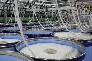 <span class=keywords><strong>Gasa</strong></span> médica estéril absorbente rugosa no adherente con borde pequeño, 26*18 mallas, para heridas, fabricada en China - Product Image 5