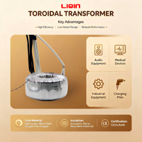 Transformateur toroïdal monophasé à double enroulement 230V 12V 300VA 300W pour amplificateurs audio Fabriqué dans le Guangdong, Chine
