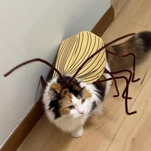 Tenue rayée blattes pour <span class=keywords><strong>chat</strong></span> Innocent Cat Cosplay, accessoires modernes pour animaux de compagnie, amusants, faits main, <span class=keywords><strong>DIY</strong></span>, en coton torsadé, écologiques - Product Image 1