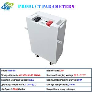 RWT EU 스톡 Lifepo4 배터리 51.2V 100Ah 200Ah 280Ah 300Ah 314Ah 330Ah 리튬 배터리 14Kwh 15Kwh 16Kwh 배터리 팩 - Product Image 4
